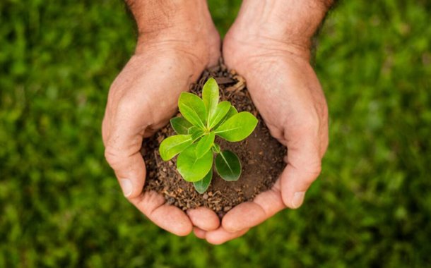 Transforming Agriculture - The Role of AI, Drones, IoT, and Precision