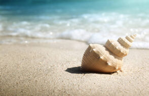 15 Famous Tourist place in Balasore Odisha - Balasore Tourism