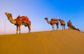 Rajasthan with Kids - Must-See Places and Travel Tips