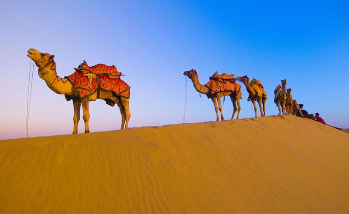 Rajasthan with Kids - Must-See Places and Travel Tips