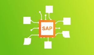 The Role of Pricing Procedures in SAP SD and their Configuration