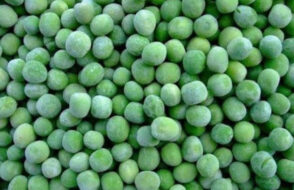 How Often Can Bearded Dragons Eat Green Beans?