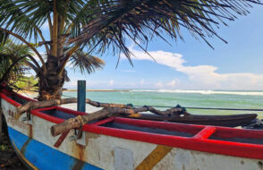 The ultimate Guide to Sri Lanka Family Holidays